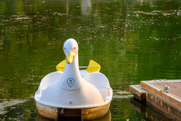 Swan shaped pedal boat on a lake the concept of summer leisure