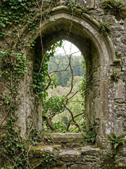 Obraz premium Gothic arched window frame overgrown with ivy, overlooking a lush forest landscape