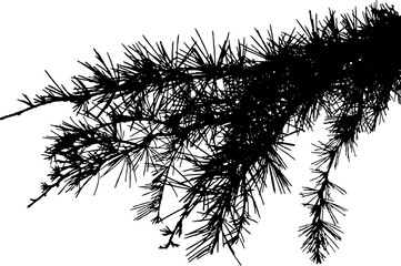 Black conifer tree branch silhouette vector illustration