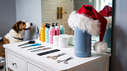 Dog grooming tools with colorful products and Santa hat for New Year celebration