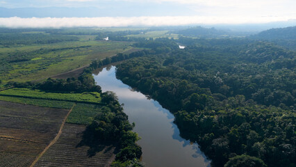 Sierpe river winding through dense mangrove forest and cultivated fields, showing tropical landscape resilience and human impact