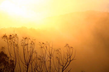 Naklejka premium sunrise over the hills
