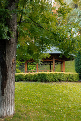 Wooden gazebo surrounded by greenery in a tranquil park setting