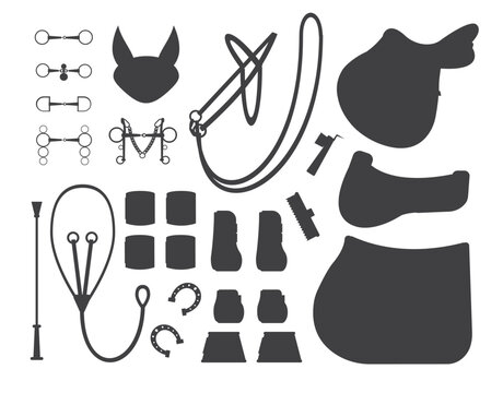 Vector flat horse riding equipment isolated on white background