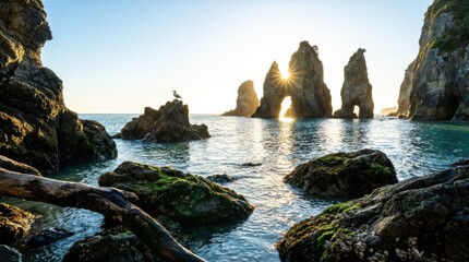 Rocky sea stacks with a natural arch stand in the calm ocean water at sunrise with a beautiful sunburst effect and a seagull perched on a nearby stone
