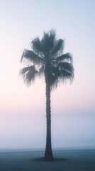 A palm tree is standing alone in a foggy field