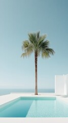 A palm tree is in front of a pool