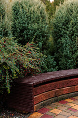 Curved wooden bench surrounded by lush greenery in a garden setting