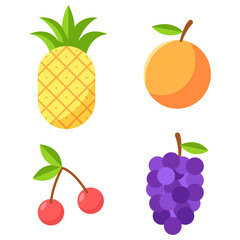 Flat Design Tropical and Seasonal Fruit Illustration Element Icon Set