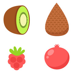 Flat Style Various Tropical Fruit Illustration with Kiwi, Salak, Raspberry, Pomegranate