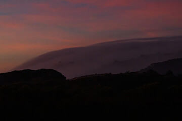 Fototapeta premium bruma