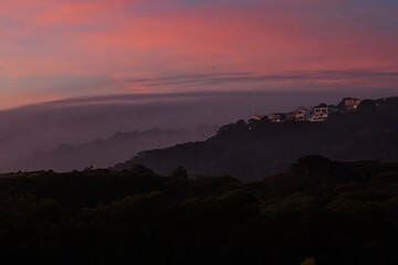 Fototapeta premium bruma