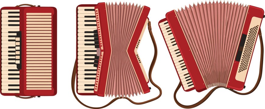 Red Accordion Musical Instrument Set Front and Side Views Vector Illustration Isolated on White Background for Music Design