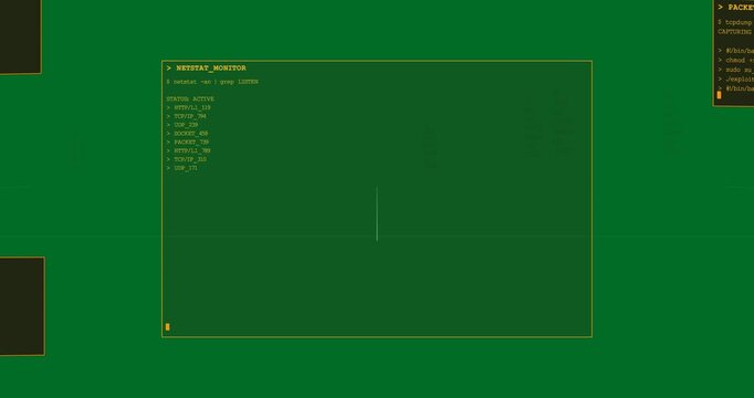 Shell prompt running netstat causing NETSTAT_MONITOR showing active ports on transparent background