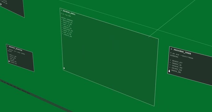 REVERSE_SHELL appearing panning list blinking caret PT toggling indicating activity bg transparent