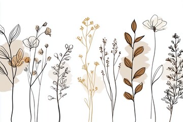 Naklejka premium Minimal Botanical Line Art Illustration of Wild Flowers
