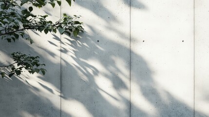 Soft Shadow Play on Minimalist Concrete Wall with Leaves