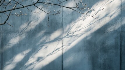 Gentle Shadows and Delicate Branches on a Textured Wall Surface