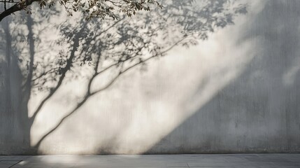 Shadows of Trees Dancing on a Serene Textured Wall Surface