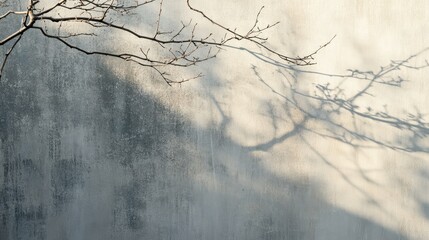 Shadow Play on Textured Wall with Bare Branches and Soft Light