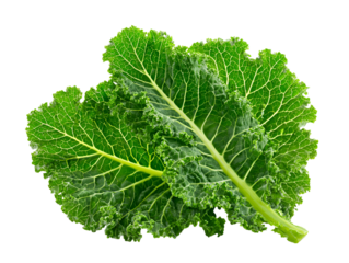Fresh green kale leaves isolated on transparent background