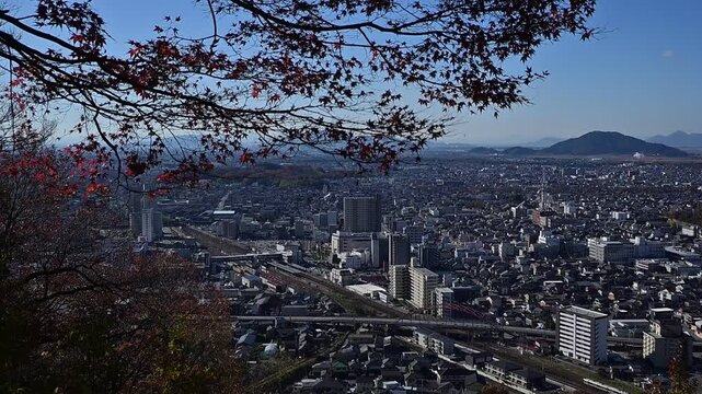 彦根駅に到着する223系新快速（東海道本線 彦根 - 米原, 2025年12月）