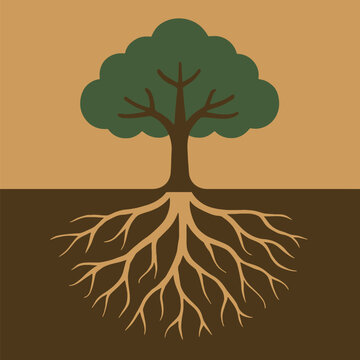 Deep Tree Roots and Underground Ecosystem