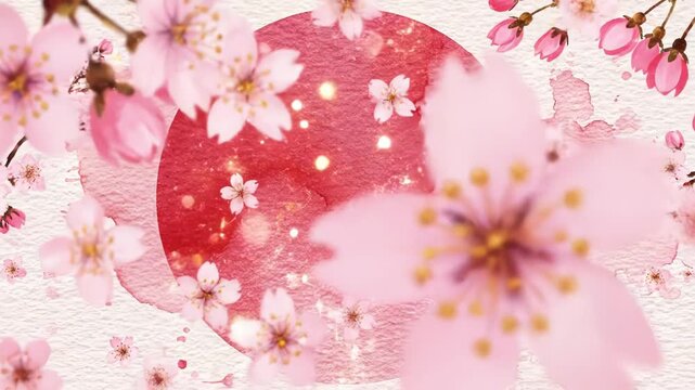 Beautiful pink cherry blossoms on a textured white background with a large red circle