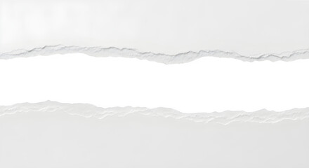 Torn paper edge background texture isolated on transparent background