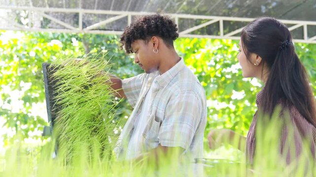 Young smart farmers caring and inspecting vegetables plant seedling in greenhouse. Teamwork student learn sustainable agriculture, organic farming, urban gardening and eco-friendly food production.