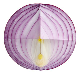 Paper craft, cut out fruit and vegetable origami : Onion, The art of origami fruit showcases the intricate, precise folding of colorful paper and complex patterns, transparent background.