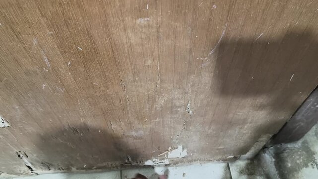 A damaged wooden door. A large, jagged hole reveals the crumbly, white texture inside, indicating termite infestation. The surrounding wood is light brown, while the interior is hollow and rotten.