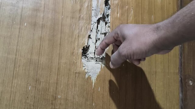 A damaged wooden door. A large, jagged hole reveals the crumbly, white texture inside, indicating termite infestation. The surrounding wood is light brown, while the interior is hollow and rotten.