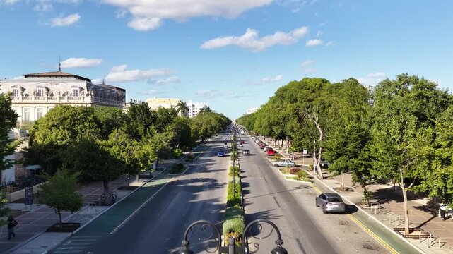 Aerial drone flying forward over Paseo Montejo with traffic, street lamps and cloudy blue sky in M&eacute;rida, Yucat&aacute;n. Vertical video