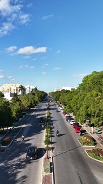 Calle Mazatl&aacute;n, Colonia Condesa, M&eacute;xico City, CDMX, hyperlapse, 360 rotation, vertical video, tree-lined street, pedestrian walkway, cobblestone, canopy, city, urban, landscape, Latin America, travel,