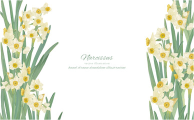 水彩で描いた水仙のイラスト