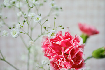 綺麗なカーネーションと可愛いかすみ草の花
