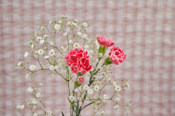 綺麗なカーネーションと可愛いかすみ草の花