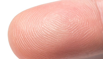 Macro photography of fingerprint texture of finger skin.
