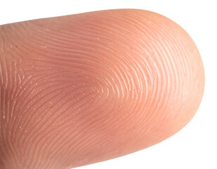 Macro photography of fingerprint texture of finger skin.