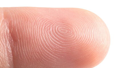 Macro photography of fingerprint texture of finger skin.