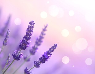 Obraz premium Close-up of lavender with bokeh effect. Sunlight and purple hues