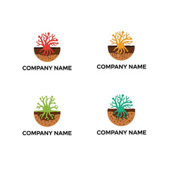 Tree Roots Logo Design Variations.