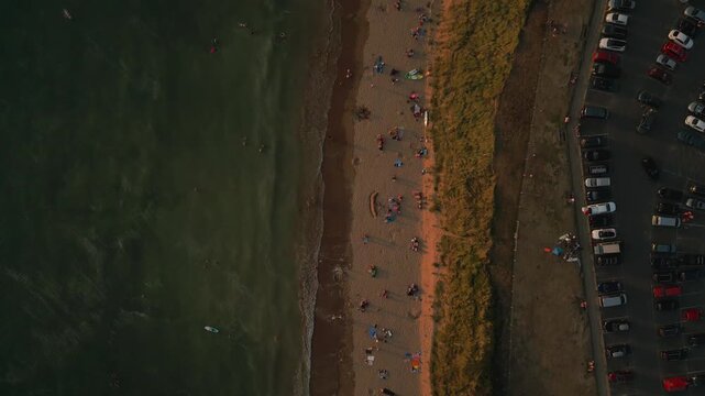 An aerial view captures a bustling beach with people swimming, sunbathing, and relaxing. Cars are parked nearby, bordering a grassy dune.