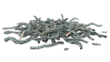 Dried Black Tea Leaves