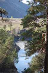 mountain river in the forest