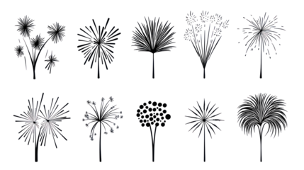 Black and white fireworks illustrations, isolated on transparent background