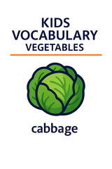 Kids Vocabulary Vegetables Cabbage