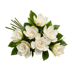 Obraz premium Gardenia's Elegant Bouquet: A stunning arrangement of pristine white gardenia blossoms with lush green foliage, showcasing nature's delicate beauty.