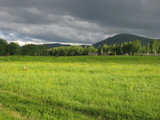 green field and blue sky